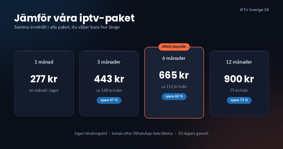 Fyra iptv-paket sida vid sida, en månad, tre månader, sex månader och tolv månader med pris per månad